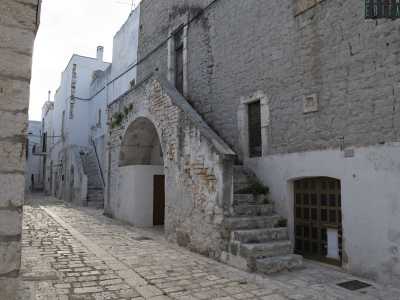 I vignali di Sammichele di Bari
